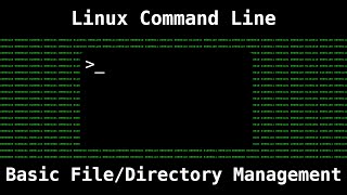 Linux Command Line Basics  File and Directory Management [upl. by Adon]