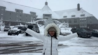 Timberline Lodge at Mt Hood Oregon USA [upl. by Noillimaxam65]