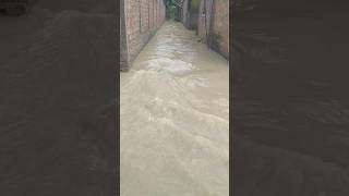 Dakhala majpara Banpani banpani flood assamflood [upl. by Eilasor469]