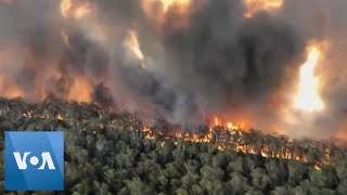 Aerial Footage Shows Scale of Fires in Australia [upl. by Aicyle]