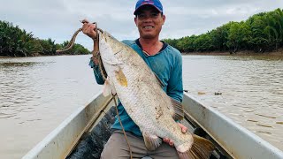 Đập Đăng Bè Trúng Cá Bầy Nhìn Thấy Mê Nào Củng Bự  TVQT885 [upl. by Aneelad]