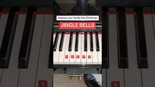 JINGLE BELLS Impress your family this Christmas shots piano tutorial [upl. by Nnairam]