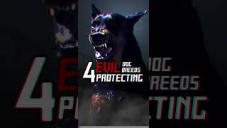 4 Most Evil Protecting Dogs shorts [upl. by Hymie]