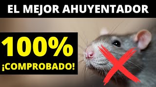 Remedio para AHUYENTAR LAS RATAS [upl. by North]