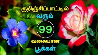 Collection of 99 Tamil Flowers Described in Kurunjipaatu [upl. by Lemieux]