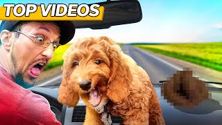 Most HILARIOUS FAMILY ROAD TRIP Moments  FV Family Top Videos [upl. by Bang]