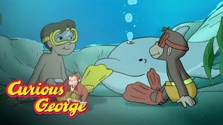 Swimming With the Dolphins 🐵Curious George 🐵Kids Cartoon🐵Kids Movies🐵Videos for Kids [upl. by Kennith847]