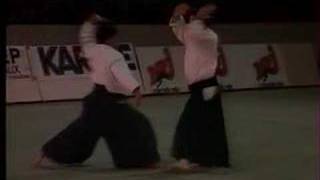 Aikido and Aikibudo at Bercy Paris 1989 [upl. by Reginauld533]