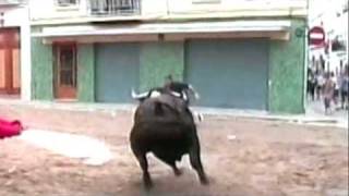 Matador vs Banteng  3flv TeguhMalang [upl. by Libyc]