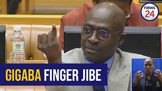 WATCH Gigaba apologises for pinky finger gesture [upl. by Ehcrop452]