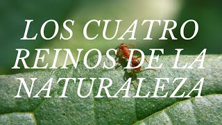 LOS CUATRO REINOS DE LA NATURALEZA [upl. by Yleik]