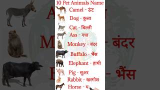 Domestic Animals Names  Pet animals Names  THE TOTA WORLD shorts preschool kidslearning [upl. by Ordway]