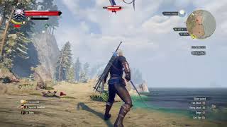 The Witcher 3 Wild Hunt – Aimbot [upl. by Bohun]