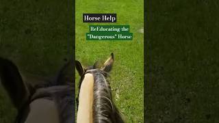 Horse Riding Help  Recognizing Behavior ReEducating amp Training short alternativehorsemanship [upl. by Gustafsson]