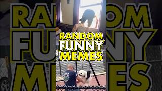 RANDOM FUNNY MEMES 🤣 Daily Funny Videos pt224 [upl. by Asaph496]