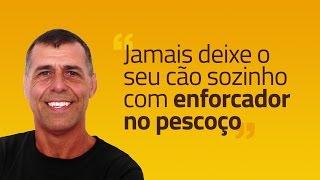 Jamais deixe o seu cão sozinho com enforcador no pescoço [upl. by Donatelli]