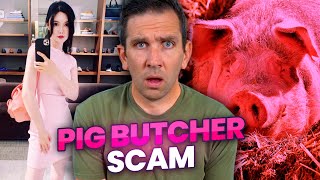 Pig Butchering Scam Exposed [upl. by Stovall]