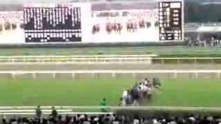 2007秋華賞東京競馬場ターフビジョン [upl. by Ahsienar]