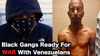 Chicago Gangs DECLARE WAR On Migrants [upl. by Meagher]