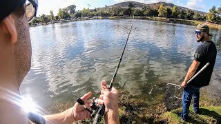 Santee Lakes Trout Opener 2024Monster Fish Caught [upl. by Colwell210]