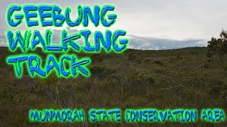 The Stunning Geebung Walking Trail [upl. by Jolie]