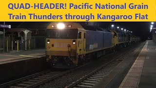 PN Quad Header on Deniliquin Grain Train  24th July 2024 [upl. by Jadd]