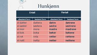 Substantiv uregelrett bøying norwegian basic learner [upl. by Ynotna]