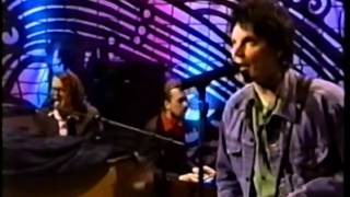 Wilco  Cant Stand It  1999 05 28 [upl. by Drarehs935]