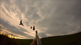 Gopro Goose Hunting [upl. by Yekcim362]