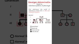 Determining an individuals genotype for a particular phenotype genetics biology science [upl. by Nuzzi]