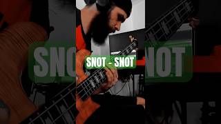 Snot  Snot Bass Cover spectorbass shorts viralmusic 90smusic numetal [upl. by Nert]