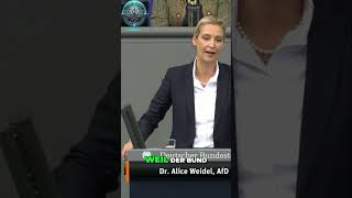 Alice Weidel Die schwarze Null  Wie die EZB Bürger enteignet [upl. by Liag]