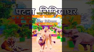 Patna Zoo Chumma Vicky Vidya Rajkumar R Tripatii D Pavan singh  SachinJigar Vayu reels zoo [upl. by Moyers]