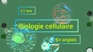 biologie cellulaire chapitre 01 بالانجليزيه🧬🔬 partie 02 L1 biologie cellulaire [upl. by Nivrac]