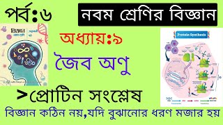 প্রোটিন সংশ্লেষ জৈব অণুনবম শ্রেণির বিজ্ঞান অধ্যায় ৯ Protein synthesis Class 9 Chapter 9 Part6 [upl. by Anital]