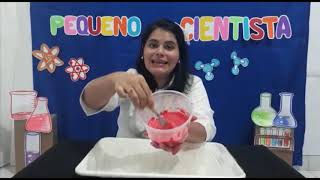 Experiência Pequeno cientista videoaula educação infantil [upl. by Neehs]