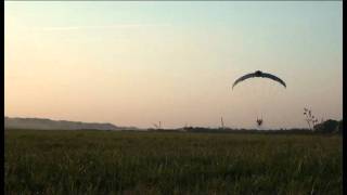 Bat glider by Pelczar Paragliders Paralotnia Nietoperz [upl. by Xet]