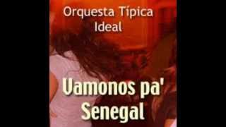 Vamonos Pa Senegal Típica Ideal [upl. by Doane]