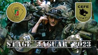 Comment survivre et combattre dans la jungle  La formation militaire la plus difficile [upl. by Coombs72]