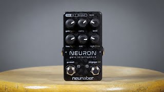 Neunaber Neuron Glorious Gain Distortion amp Overdrive [upl. by Sihtnyc]