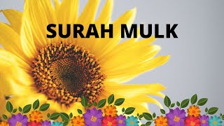 Surah Mulk  11 TIMES WITH NATURAL VIDEOS [upl. by Gilberta440]