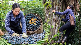 Mothers Grit Climb High for Harvesting Palm Fruits to Sell at the Market  Live with Nature [upl. by Enelyahs]