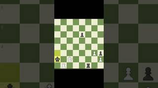 Garry Kasparovs Rook Trap is Sicilian Defence [upl. by Ryhpez]