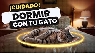 DORMIR con tu GATO Lo BUENO lo MALO y lo SORPRENDENTE [upl. by Wadleigh]