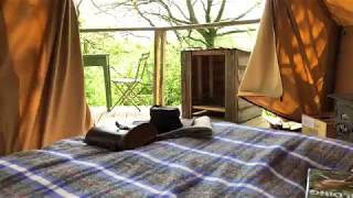 Knepp Glamping Tawny Owl Treehouse [upl. by Leah]