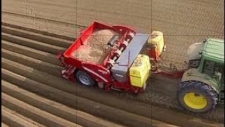 Grimme GL430 www keller technik [upl. by Xymenes820]