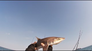 Boat fishing in The Solent 3 [upl. by Kaine]