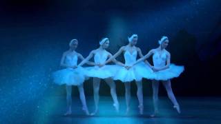 Swan Lake  Pas de Quatre 2007 Mariinsky Ballet [upl. by Adamek]