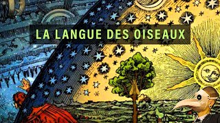 🐦 EP0  LA LANGUE DES OISEAUX Présentation [upl. by Nagiam390]