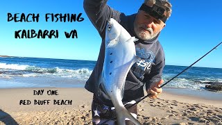 Beach Fishing in Kalbarri WA Day One Red Bluff Beach [upl. by Tobiah190]